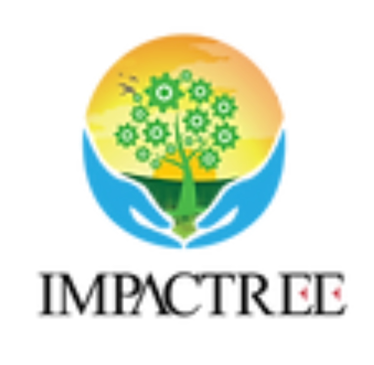 impact